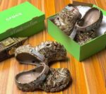 Crocs Footwear Pallet - Image 4